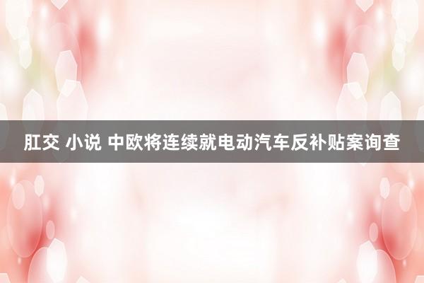 肛交 小说 中欧将连续就电动汽车反补贴案询查