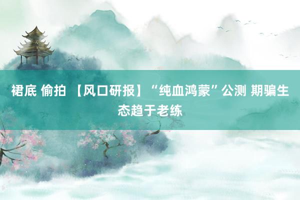 裙底 偷拍 【风口研报】“纯血鸿蒙”公测 期骗生态趋于老练