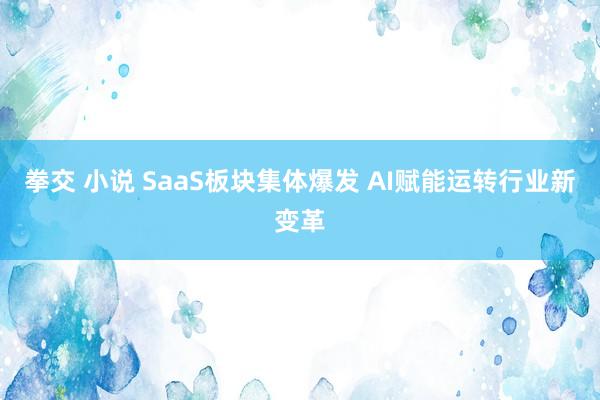 拳交 小说 SaaS板块集体爆发 AI赋能运转行业新变革