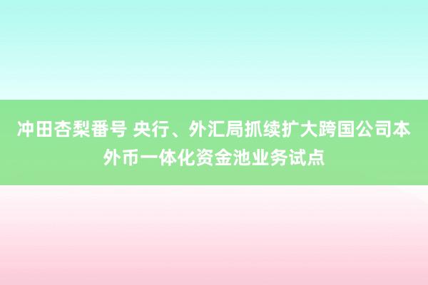 冲田杏梨番号 央行、外汇局抓续扩大跨国公司本外币一体化资金池业务试点