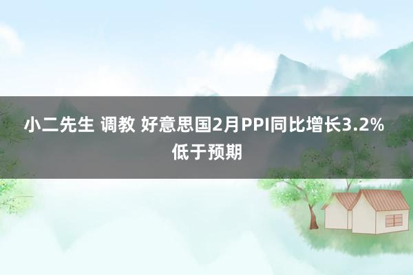 小二先生 调教 好意思国2月PPI同比增长3.2% 低于预期