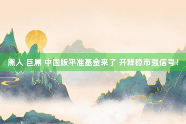 黑人 巨屌 中国版平准基金来了 开释稳市强信号！