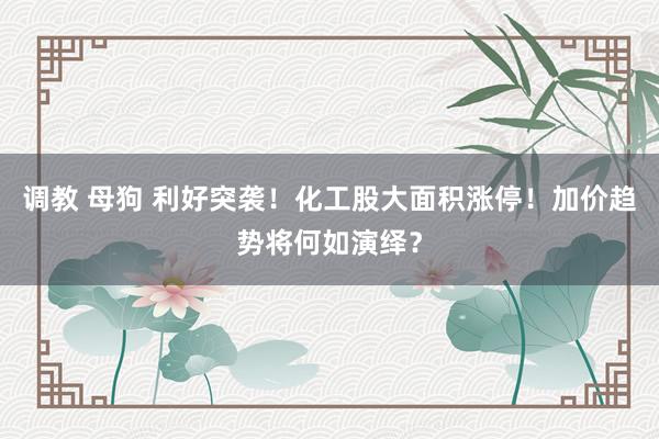 调教 母狗 利好突袭！化工股大面积涨停！加价趋势将何如演绎？